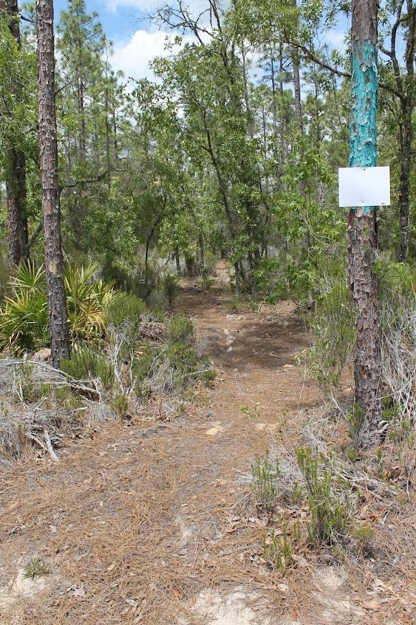 NE 56TH ST, BRONSON, FL, 32621