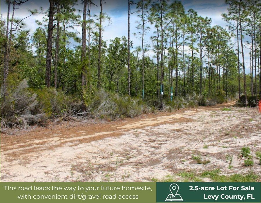 NE 56TH ST, BRONSON, FL, 32621