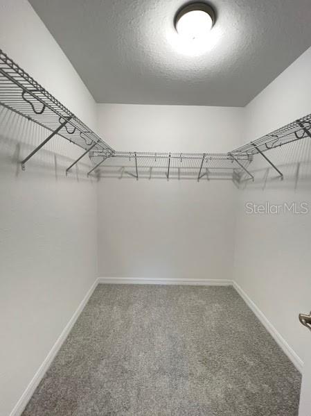 13669 SW 113TH PL, DUNNELLON, FL, 34432