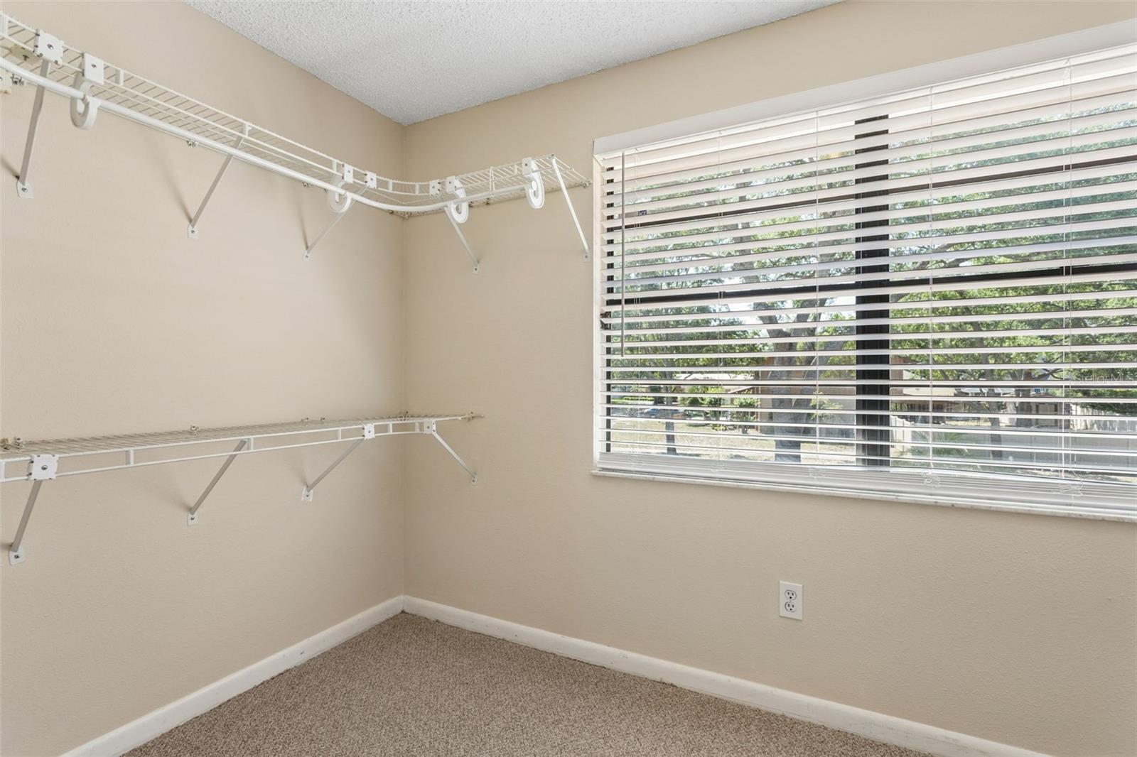 3103 TARAGROVE DR, TAMPA, FL, 33618