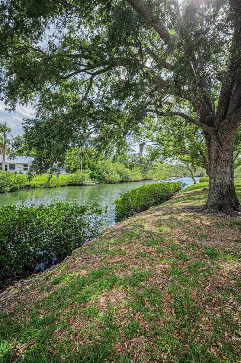 4200 HAMPTON DR #4200, NEW PORT RICHEY, FL, 34652
