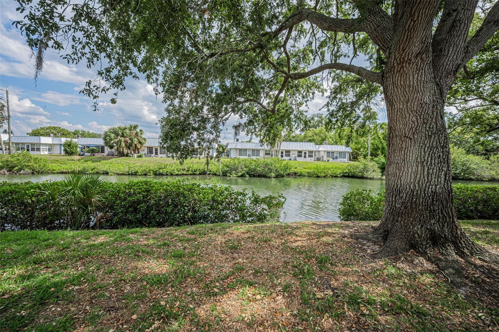 4200 HAMPTON DR #4200, NEW PORT RICHEY, FL, 34652