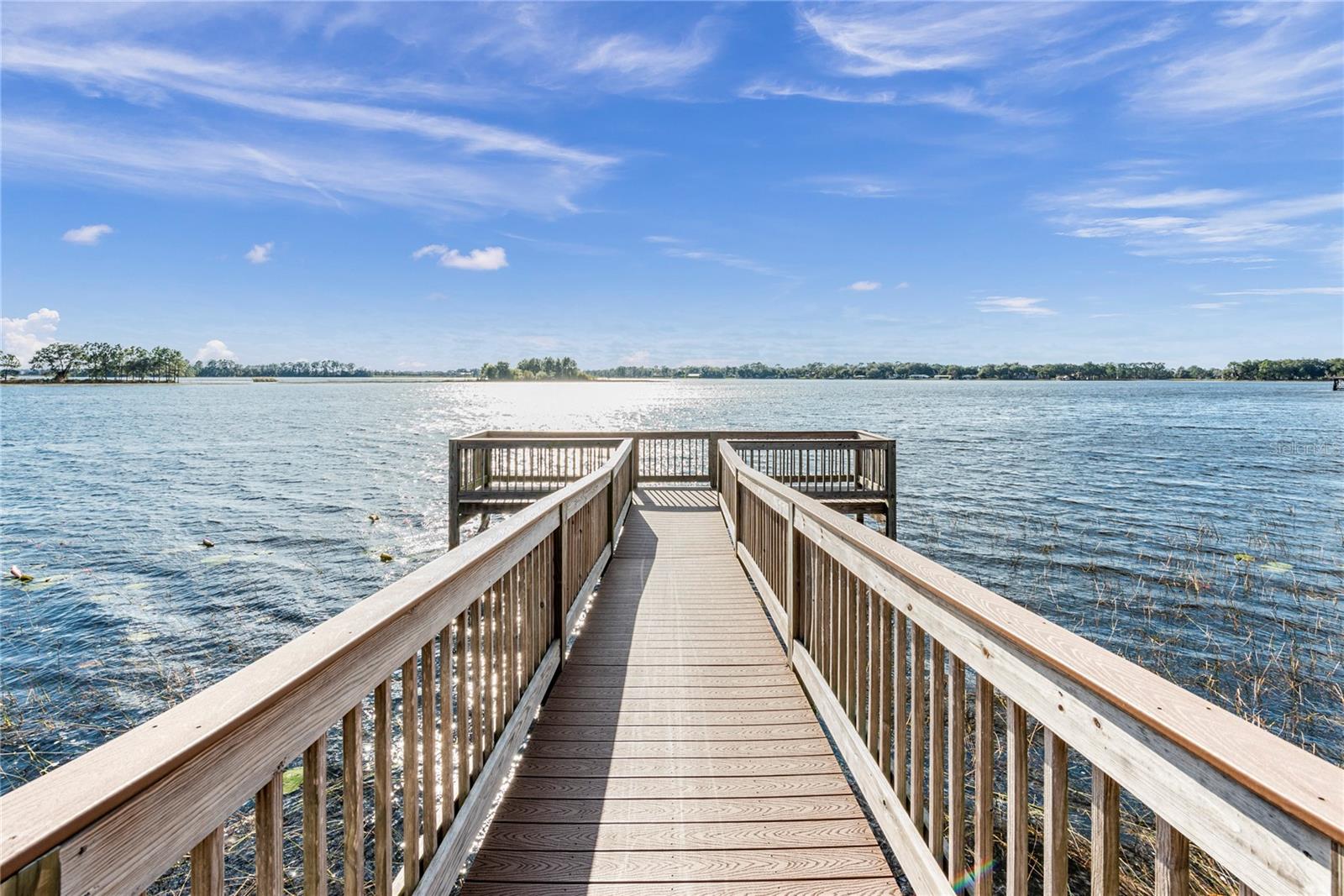 16760 HARPER COVE DR, WINTER GARDEN, FL, 34787