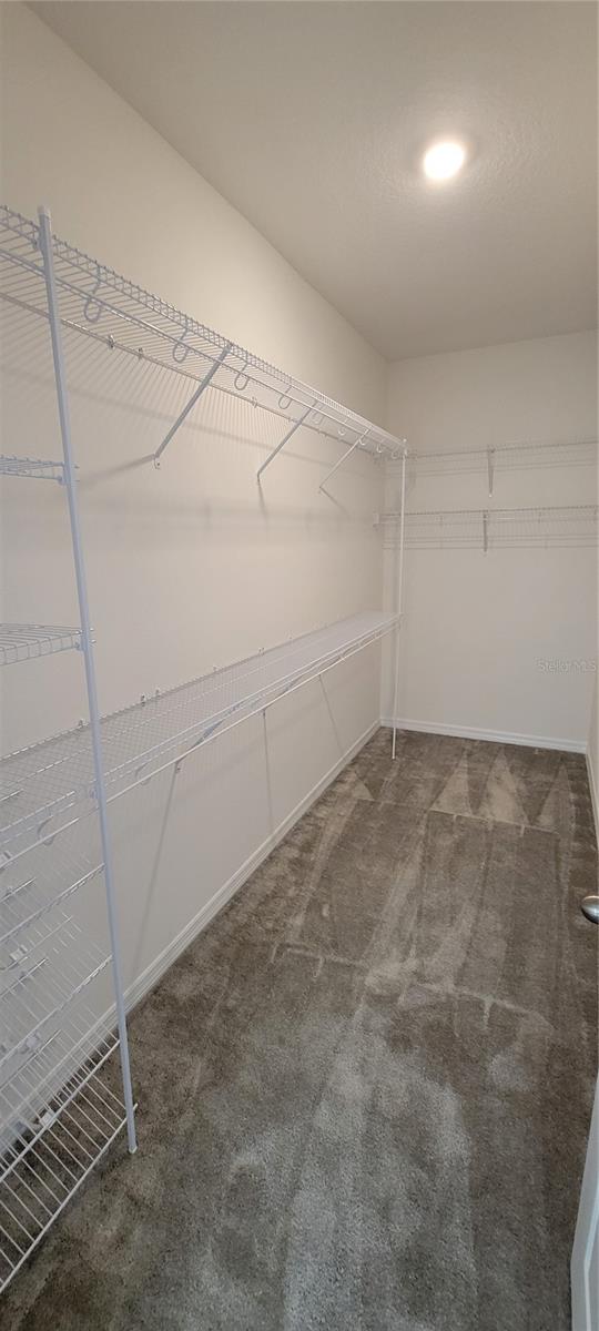 12112 ENCORE AT OVATION WAY, WINTER GARDEN, FL, 34787