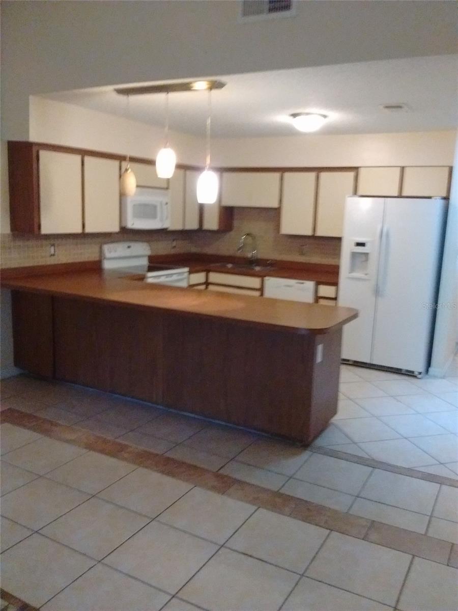 4033 ANNA DR, APOPKA, FL, 32703