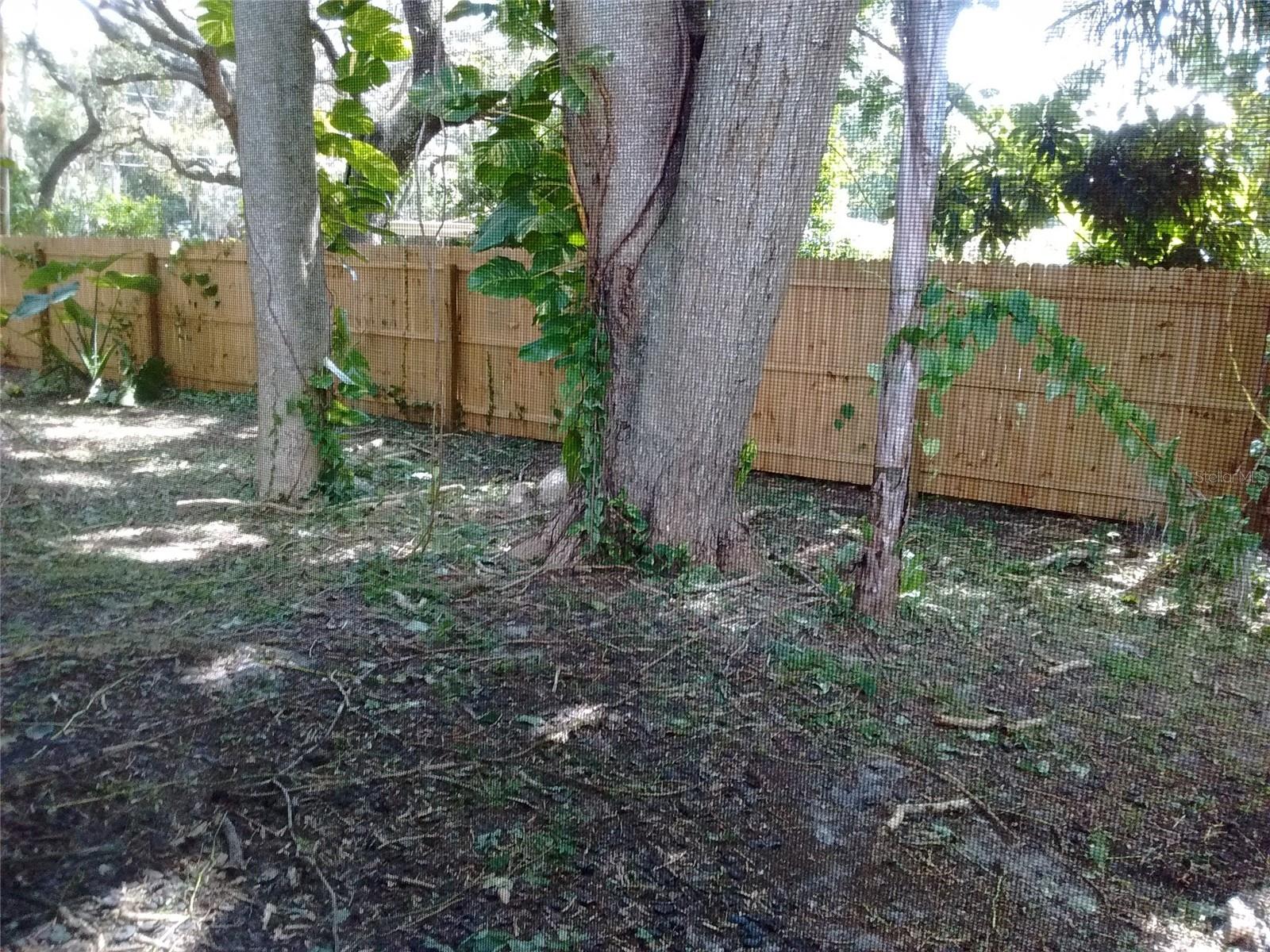 4033 ANNA DR, APOPKA, FL, 32703