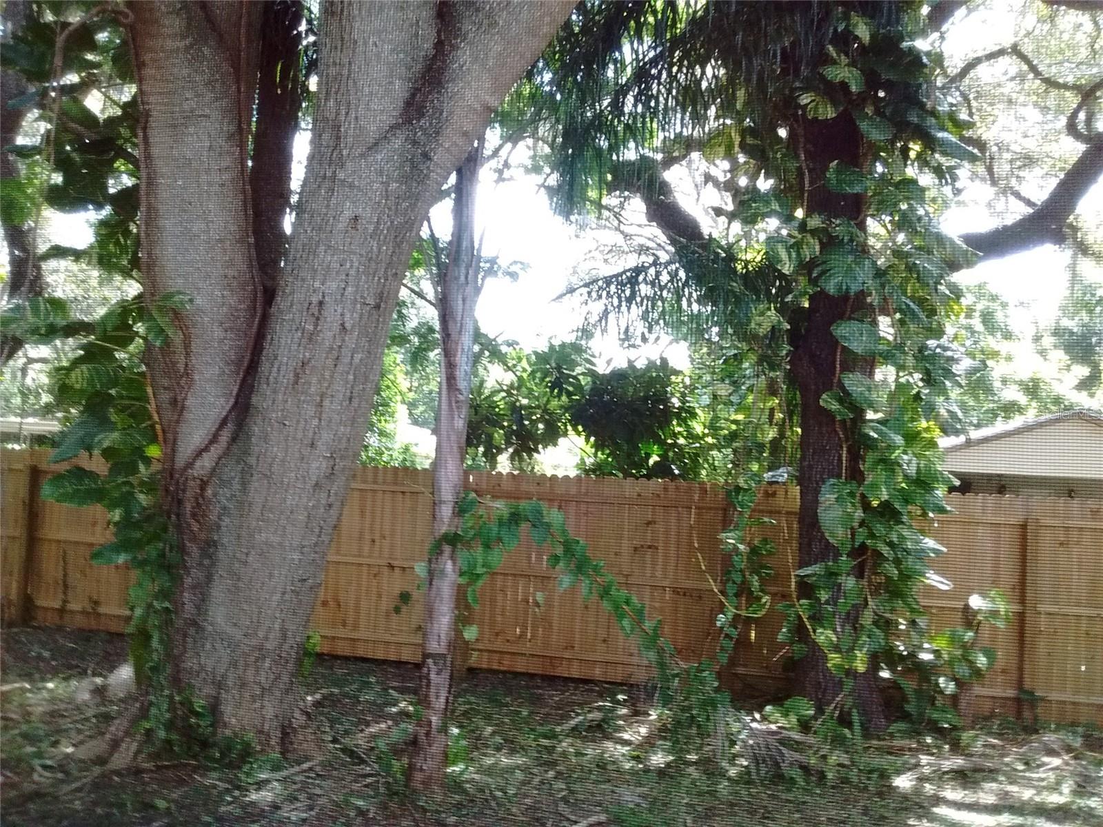 4033 ANNA DR, APOPKA, FL, 32703