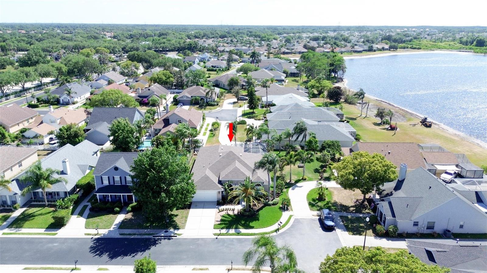 1819 LATELIA CT, TRINITY, FL, 34655