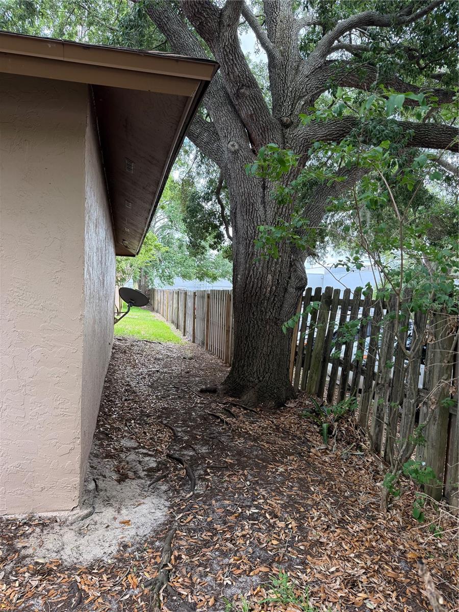 407 DOUGLAS WAY #66, WINTER GARDEN, FL, 34787
