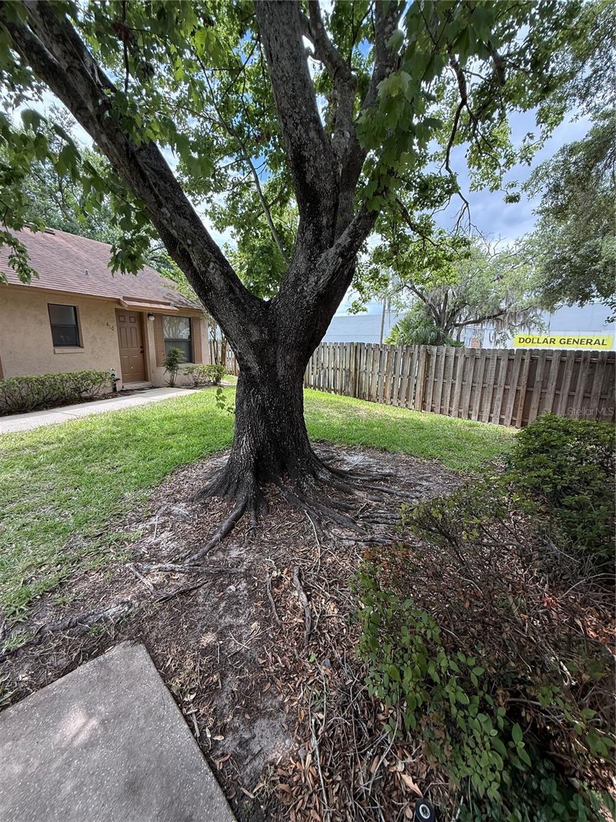 407 DOUGLAS WAY #66, WINTER GARDEN, FL, 34787