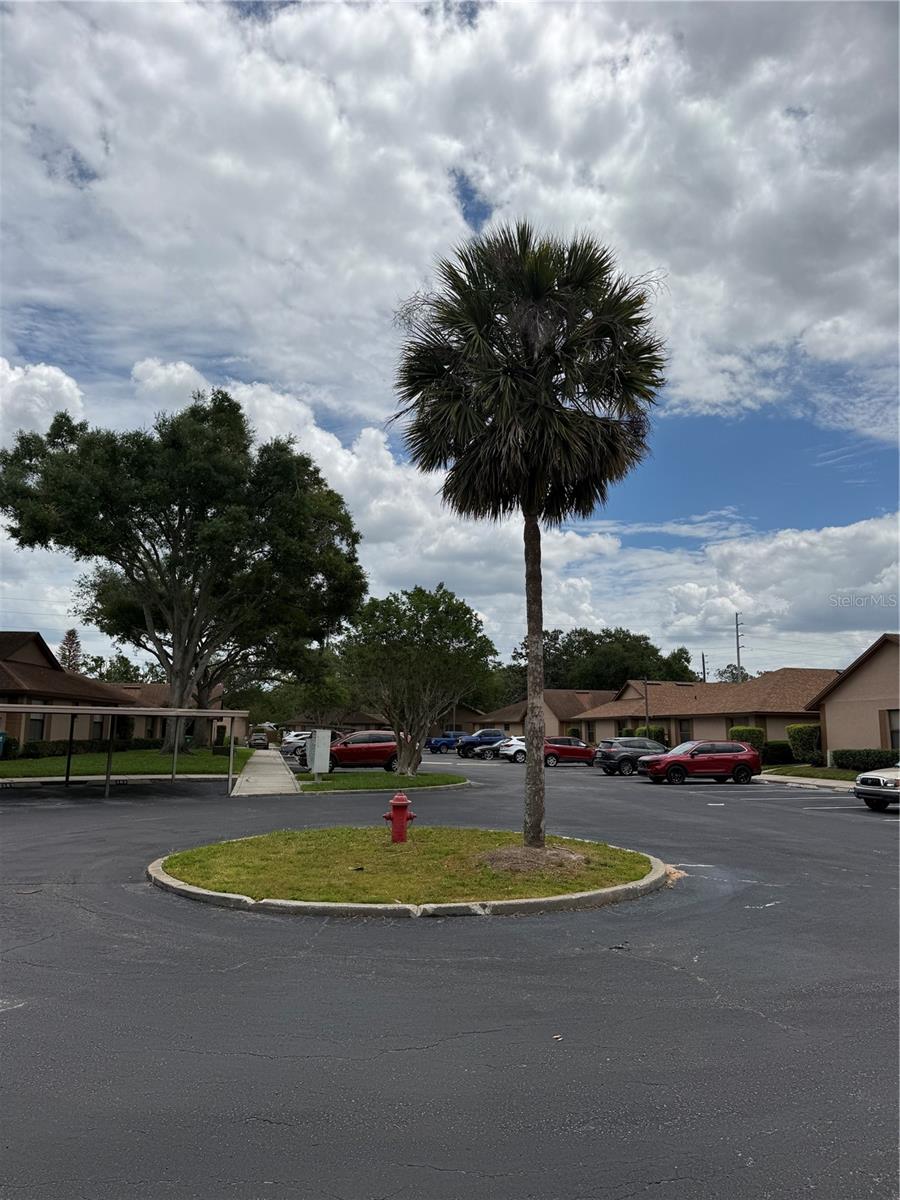 407 DOUGLAS WAY #66, WINTER GARDEN, FL, 34787