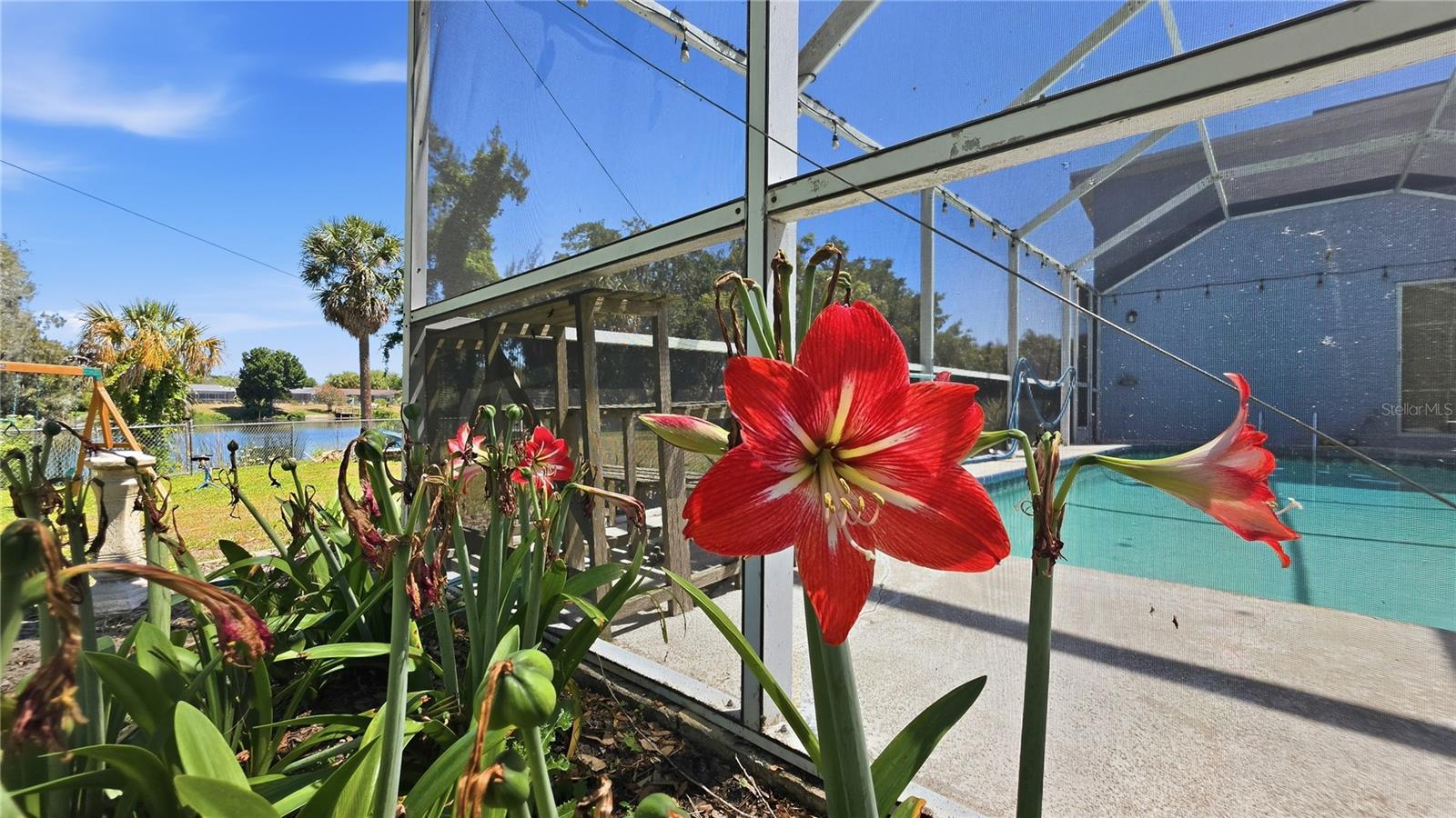 7203 BRAMBLEWOOD DR, PORT RICHEY, FL, 34668