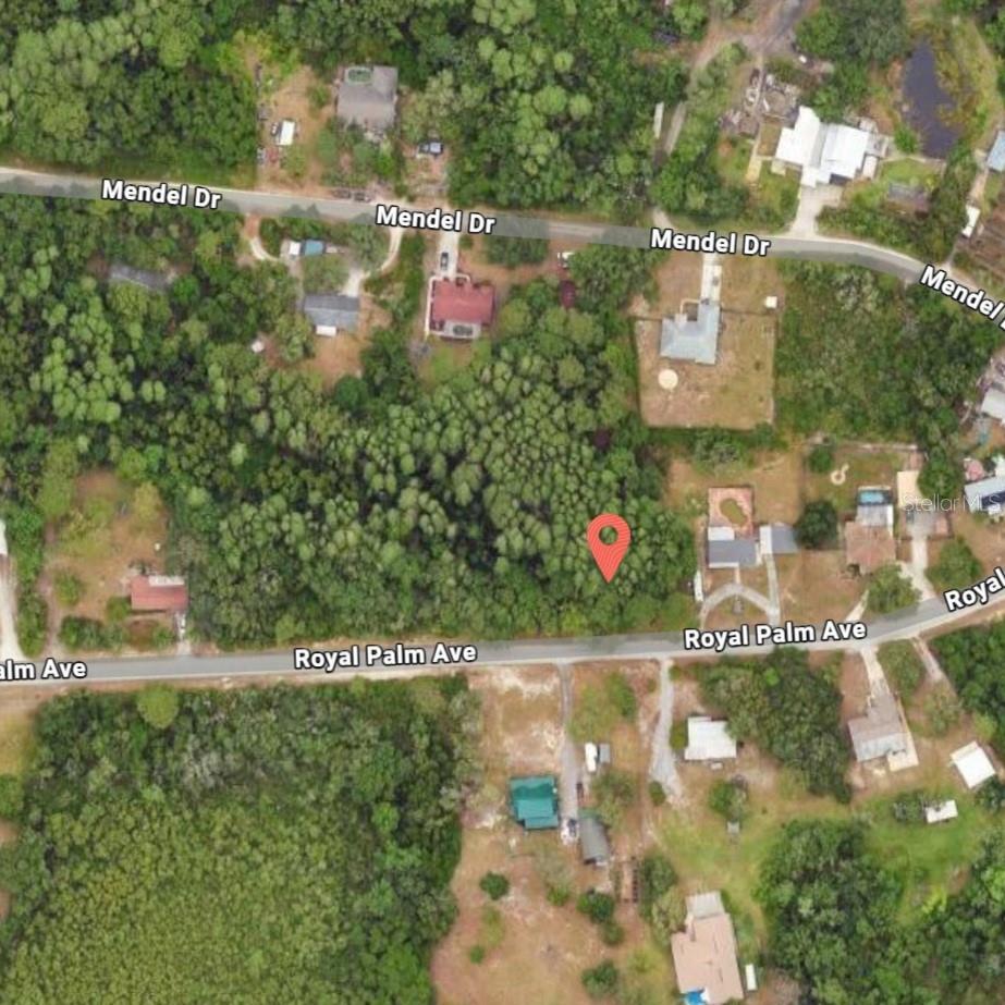 9805 ROYAL PALM AVE, NEW PORT RICHEY, FL, 34654