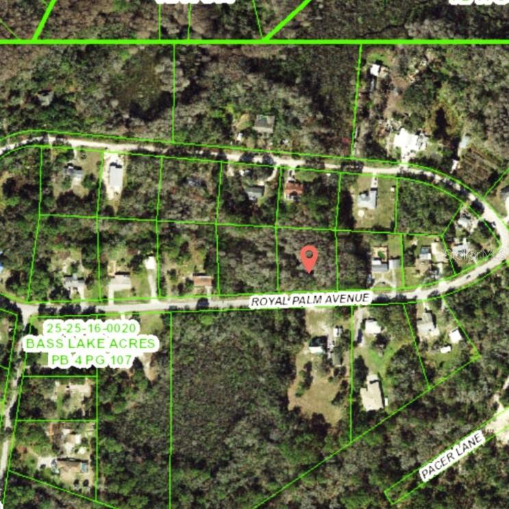 9805 ROYAL PALM AVE, NEW PORT RICHEY, FL, 34654