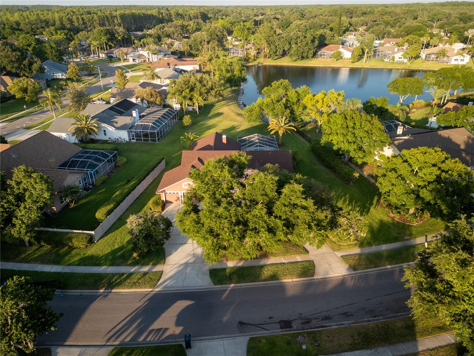 17005 EQUESTRIAN TRL, ODESSA, FL, 33556