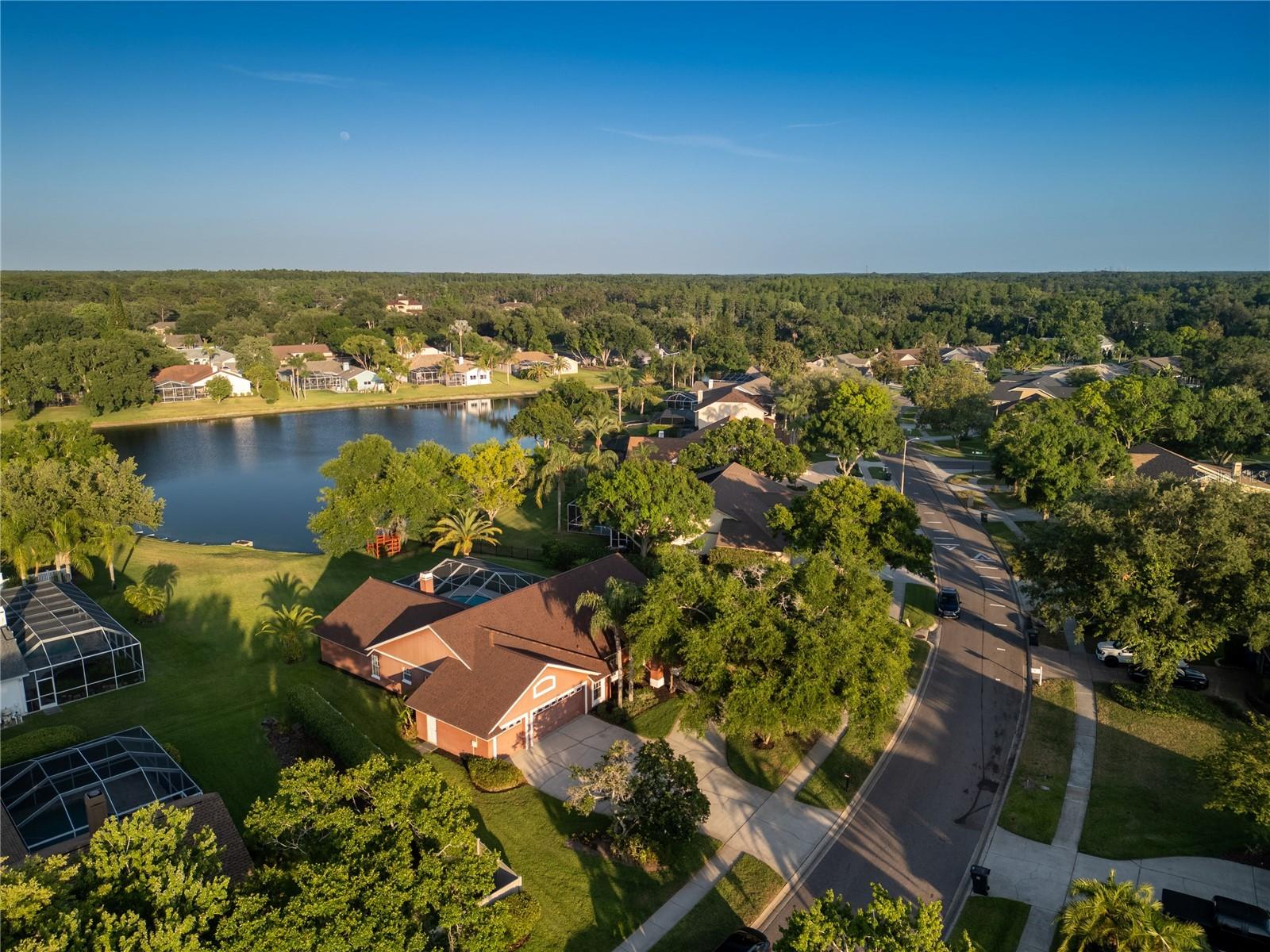 17005 EQUESTRIAN TRL, ODESSA, FL, 33556