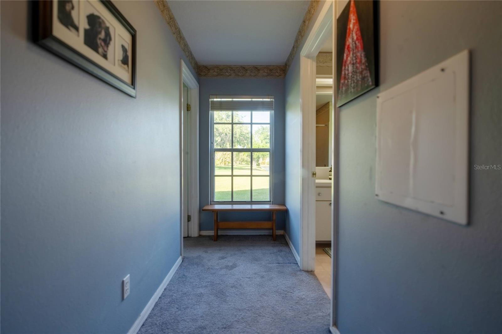 17005 EQUESTRIAN TRL, ODESSA, FL, 33556