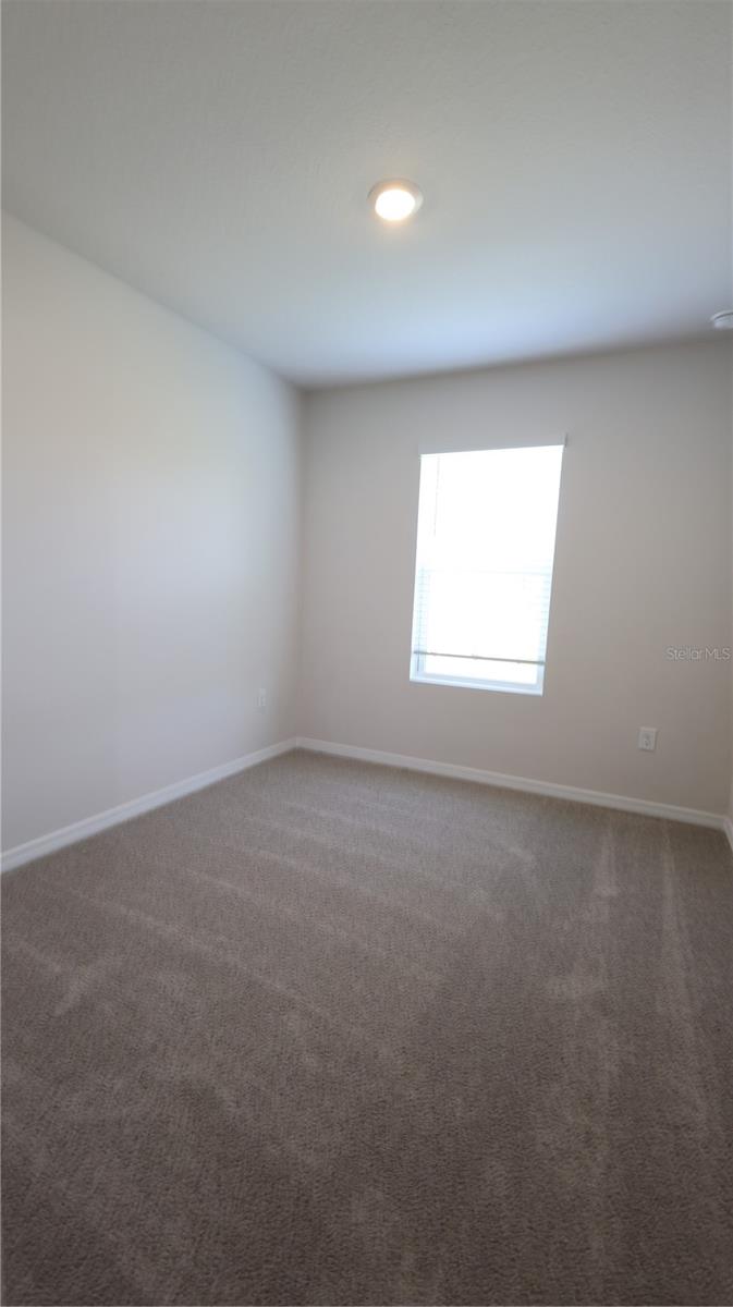 4654 STARGAZER CT, PALM HARBOR, FL, 34683