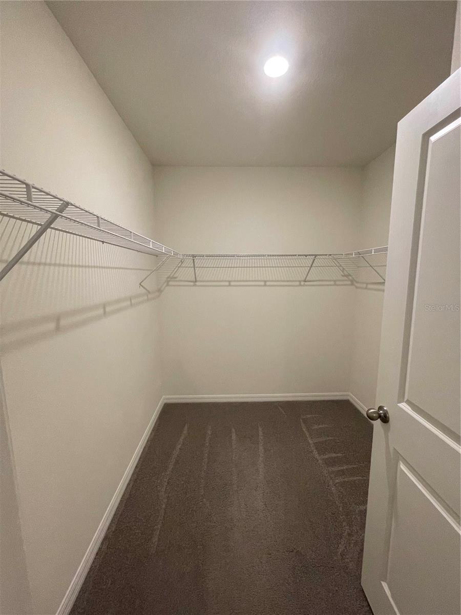 33724 JASMINE STAR LOOP, WESLEY CHAPEL, FL, 33543