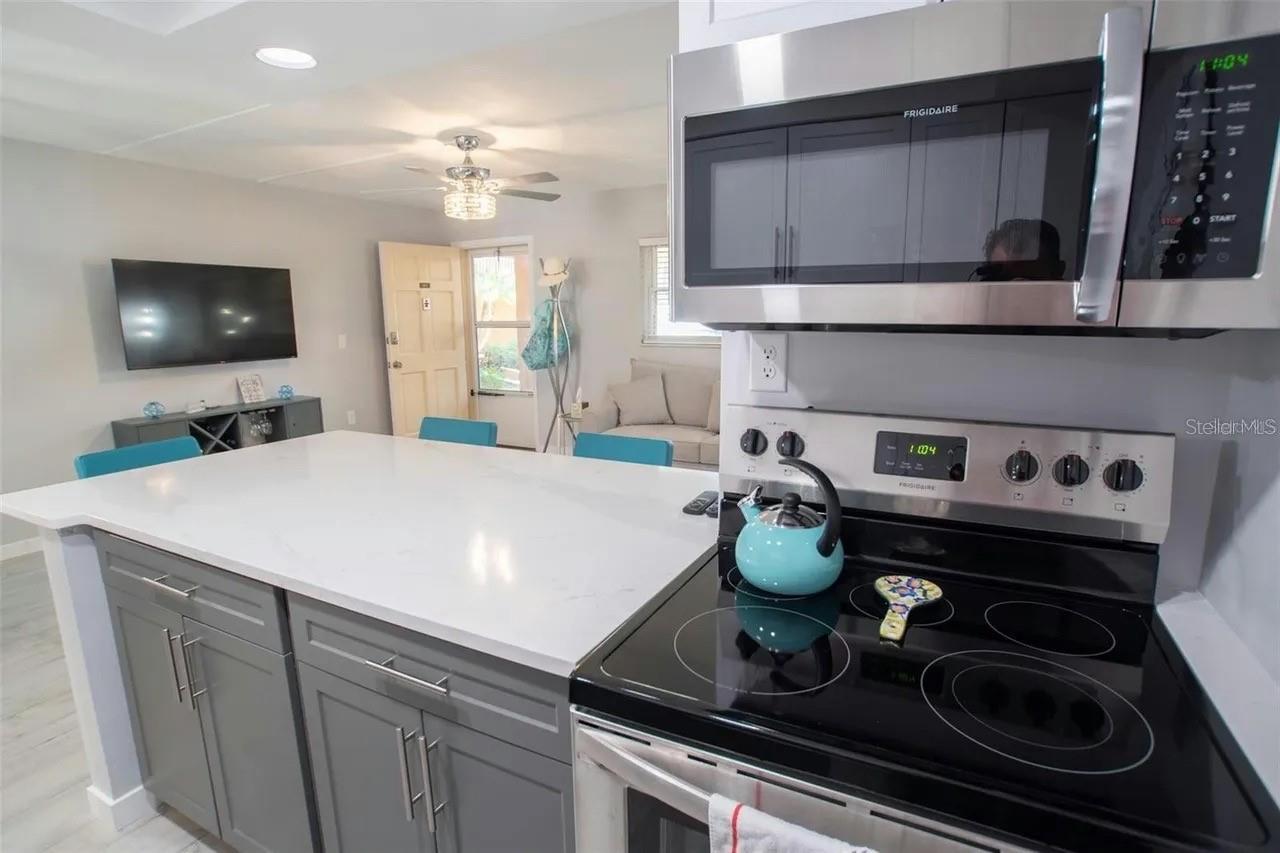12760 INDIAN ROCKS RD #1017, LARGO, FL, 33774