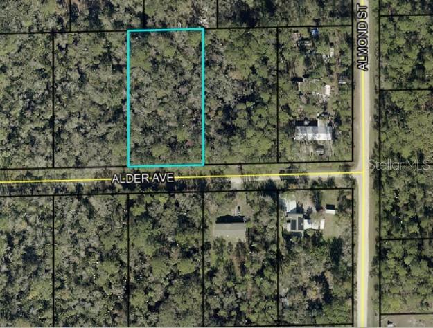 6296 ALDER AVE, BUNNELL, FL, 32110