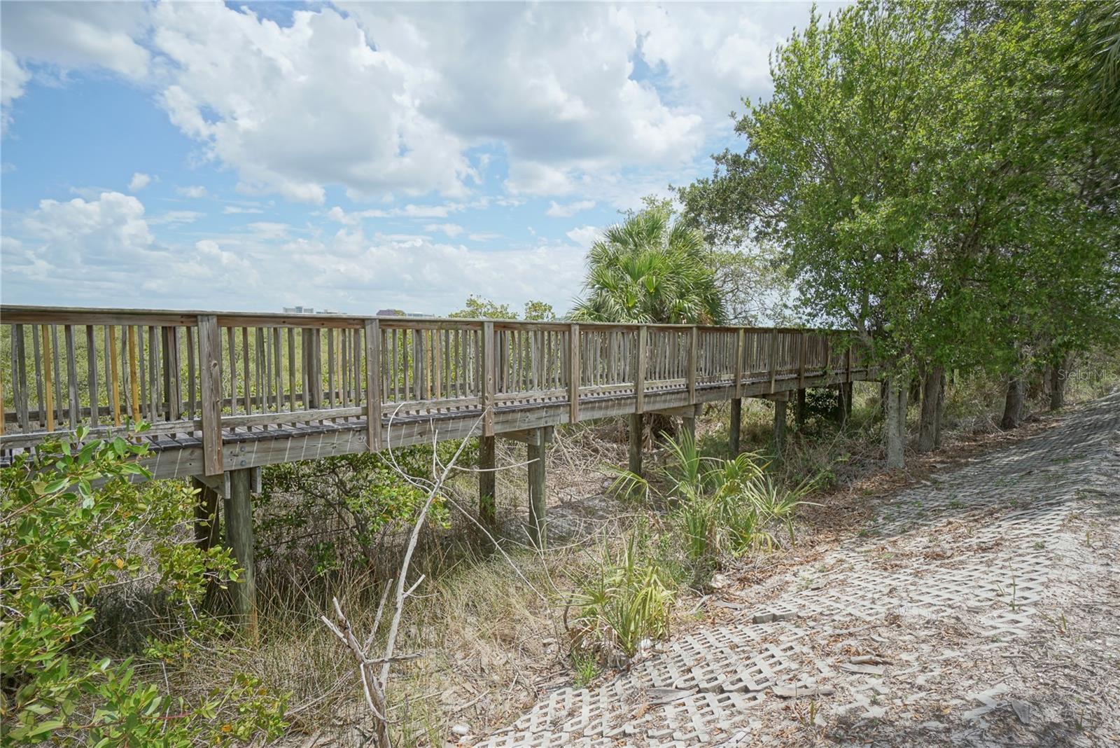 4304 BAYSIDE VILLAGE DR #204, TAMPA, FL, 33615