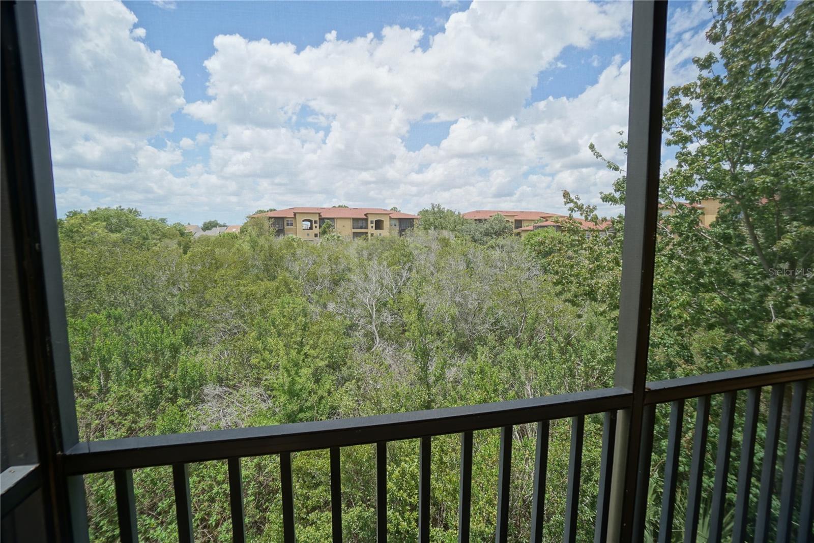 4304 BAYSIDE VILLAGE DR #204, TAMPA, FL, 33615