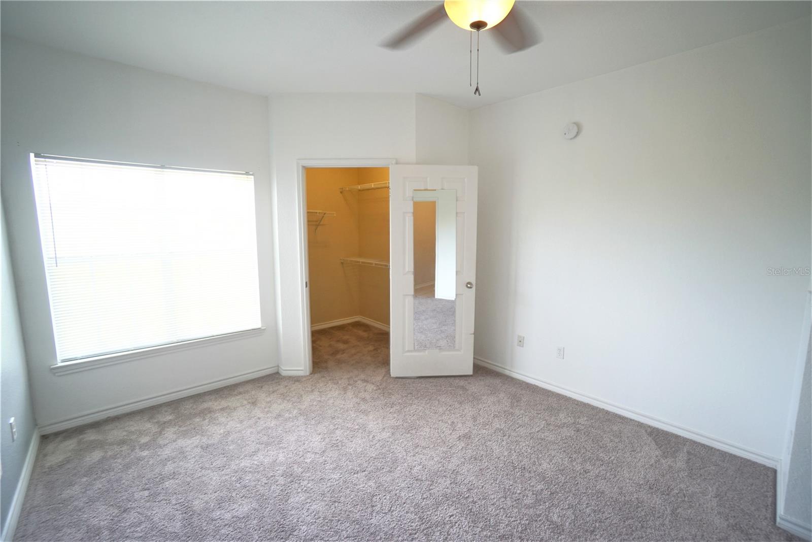 4304 BAYSIDE VILLAGE DR #204, TAMPA, FL, 33615