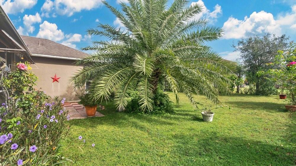 5203 JASMINE TRACE LN, KISSIMMEE, FL, 34758