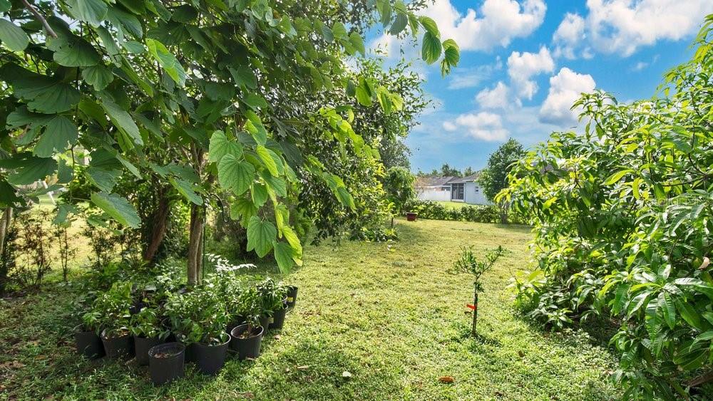 5203 JASMINE TRACE LN, KISSIMMEE, FL, 34758