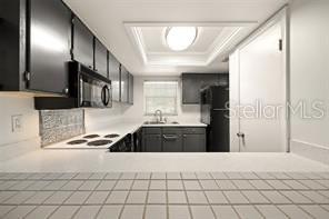 101 N GRANDVIEW ST #203, MOUNT DORA, FL, 32757