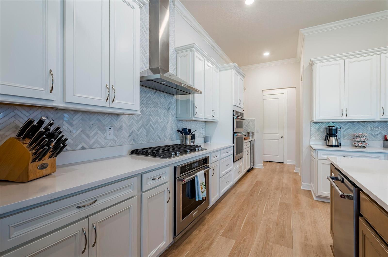 19133 SHIP WHEEL WAY, LAND O LAKES, FL, 34638