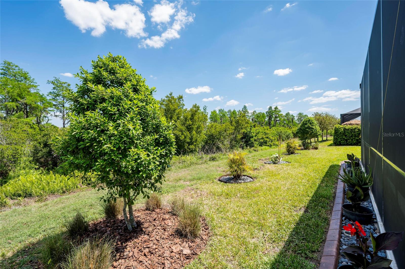 19133 SHIP WHEEL WAY, LAND O LAKES, FL, 34638