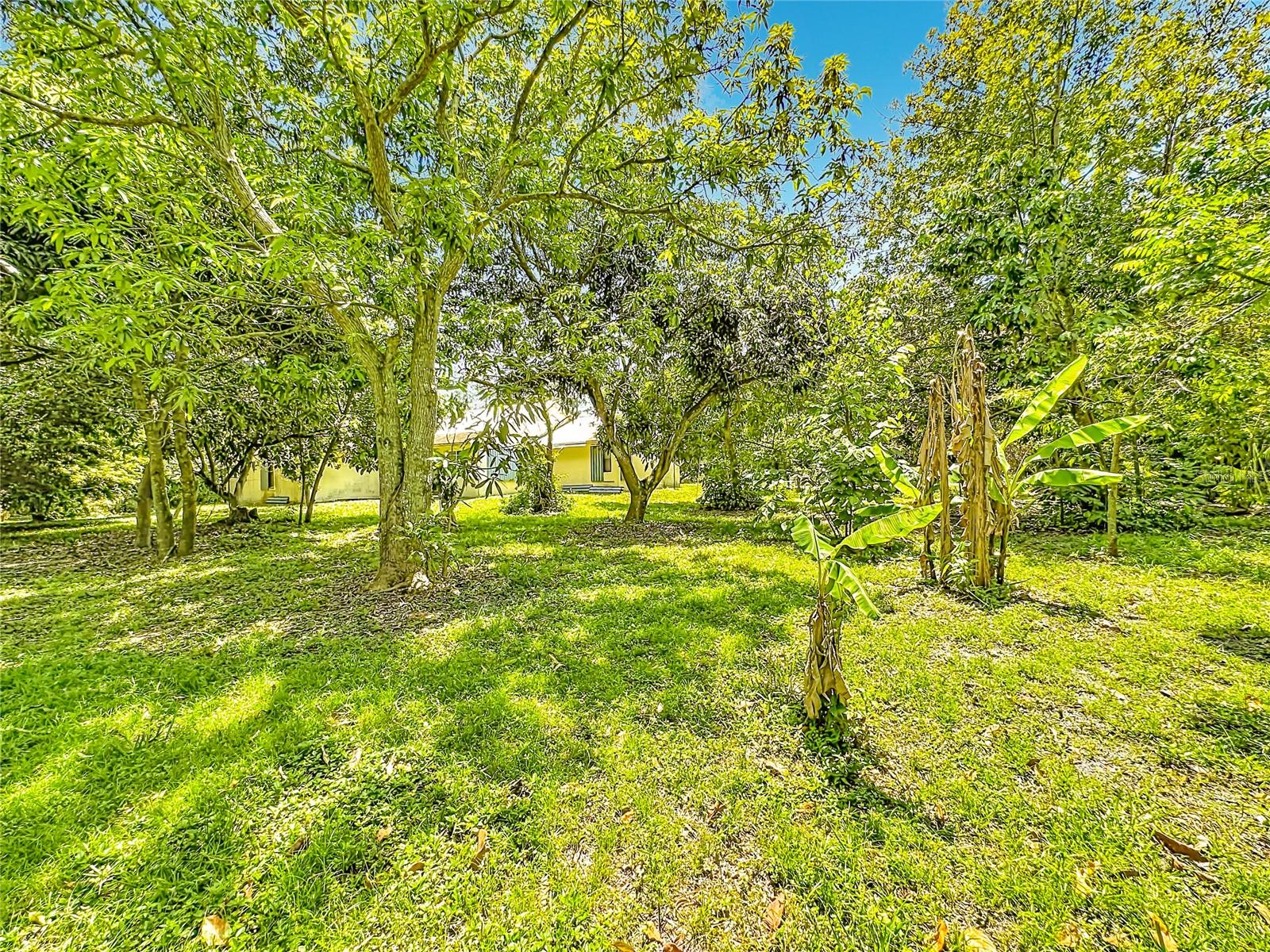 12821 86TH RD N, WEST PALM BEACH, FL, 33412