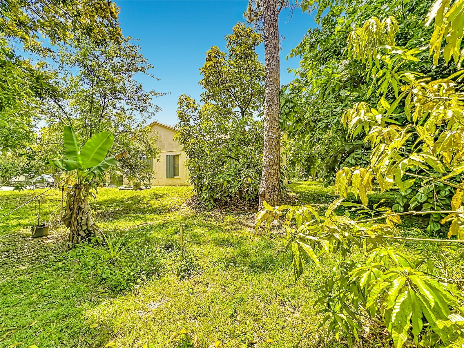 12821 86TH RD N, WEST PALM BEACH, FL, 33412