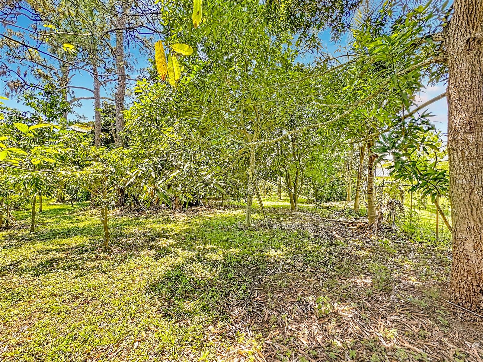 12821 86TH RD N, WEST PALM BEACH, FL, 33412