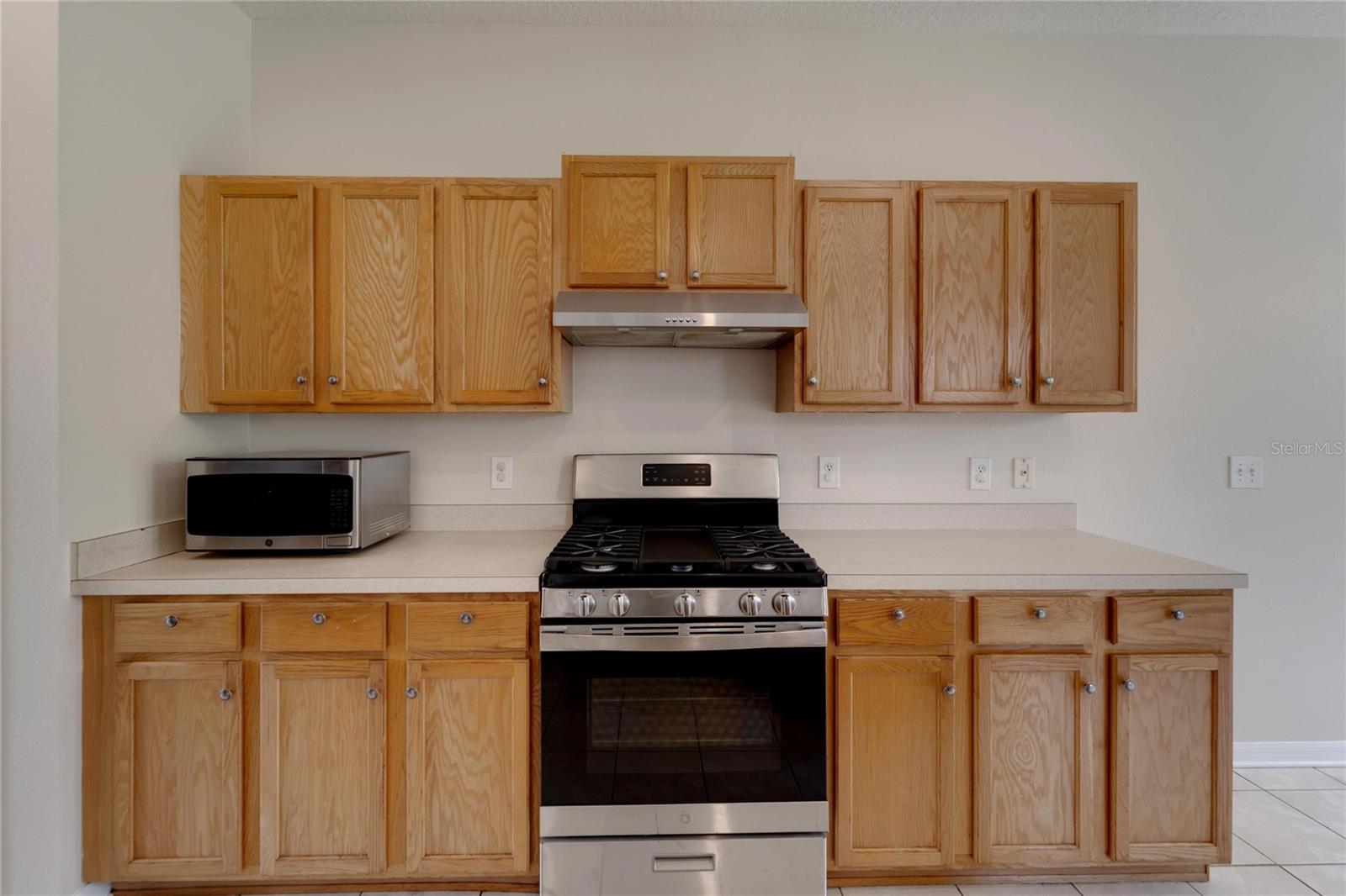411 DURHAM SHORE CT, APOLLO BEACH, FL, 33572