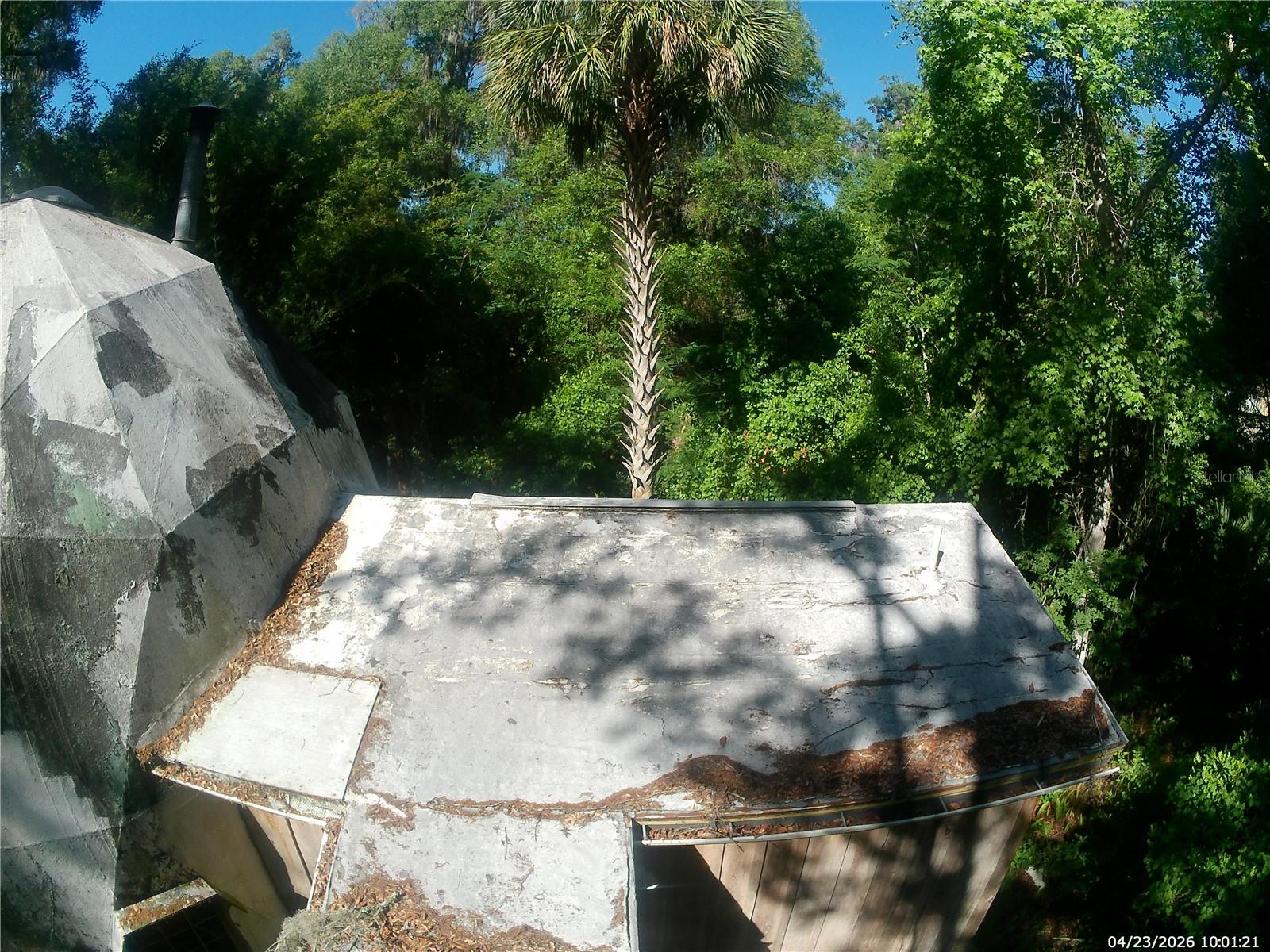 2424 NE 170TH ST, CITRA, FL, 32113