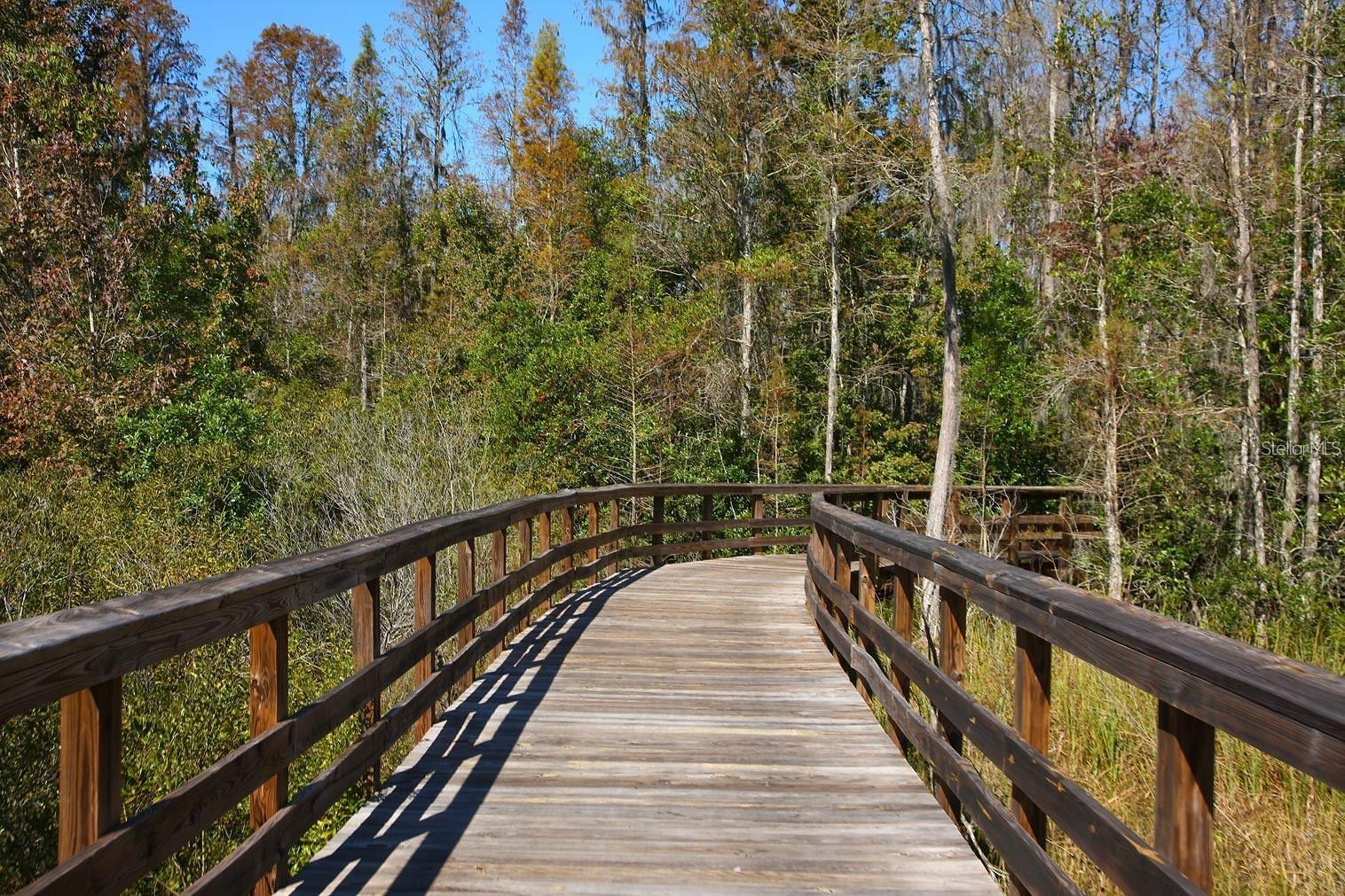 9707 WILD BEGONIA LOOP, LAND O LAKES, FL, 34637