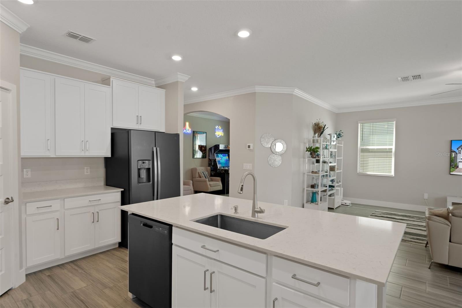 9707 WILD BEGONIA LOOP, LAND O LAKES, FL, 34637