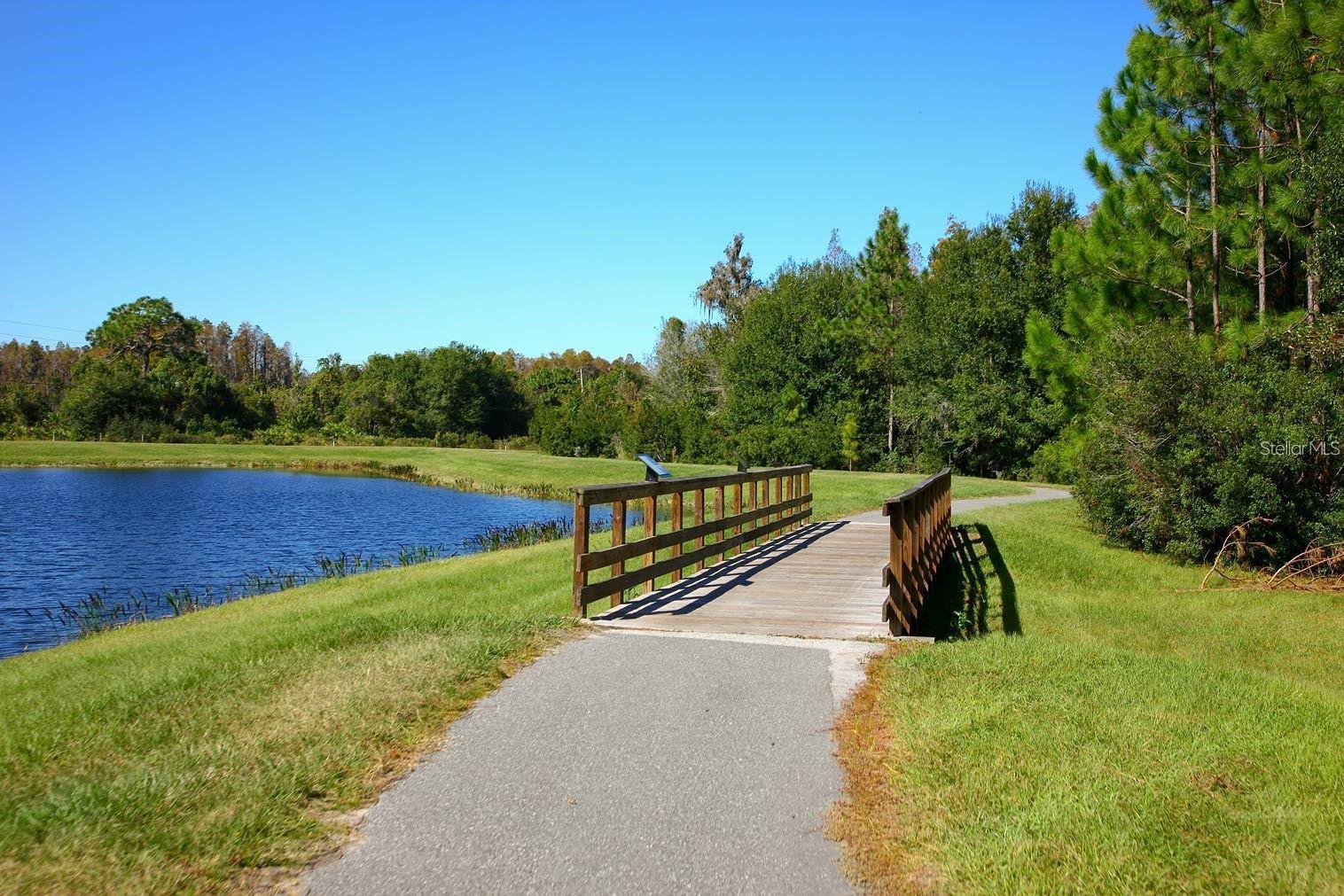 9707 WILD BEGONIA LOOP, LAND O LAKES, FL, 34637