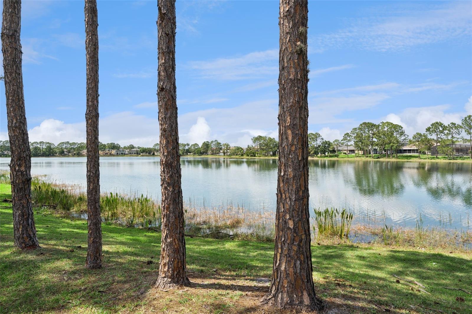 14868 CABLESHIRE WAY, ORLANDO, FL, 32824