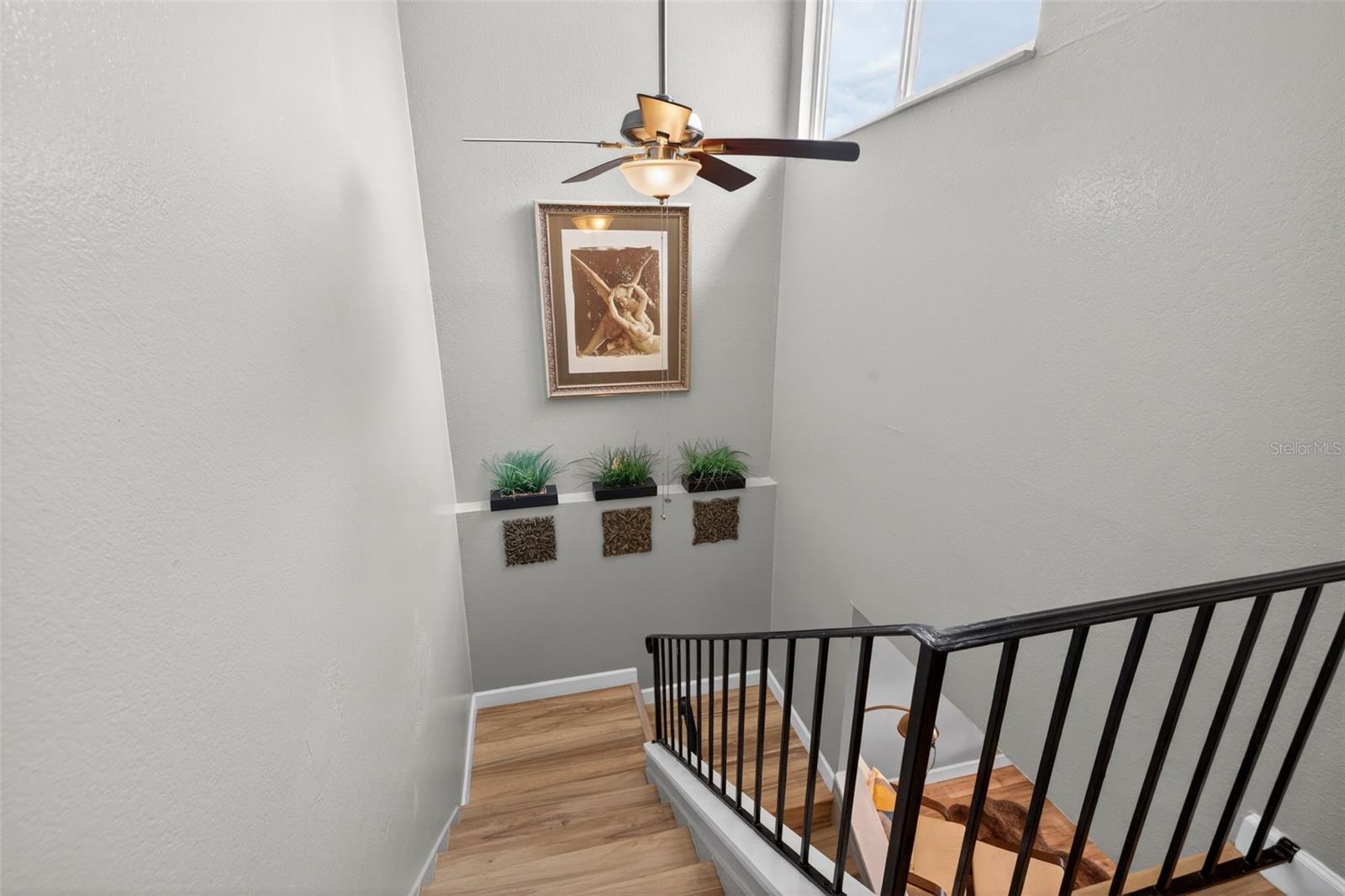 6537 CAPE HATTERAS WAY NE #1, ST PETERSBURG, FL, 33702