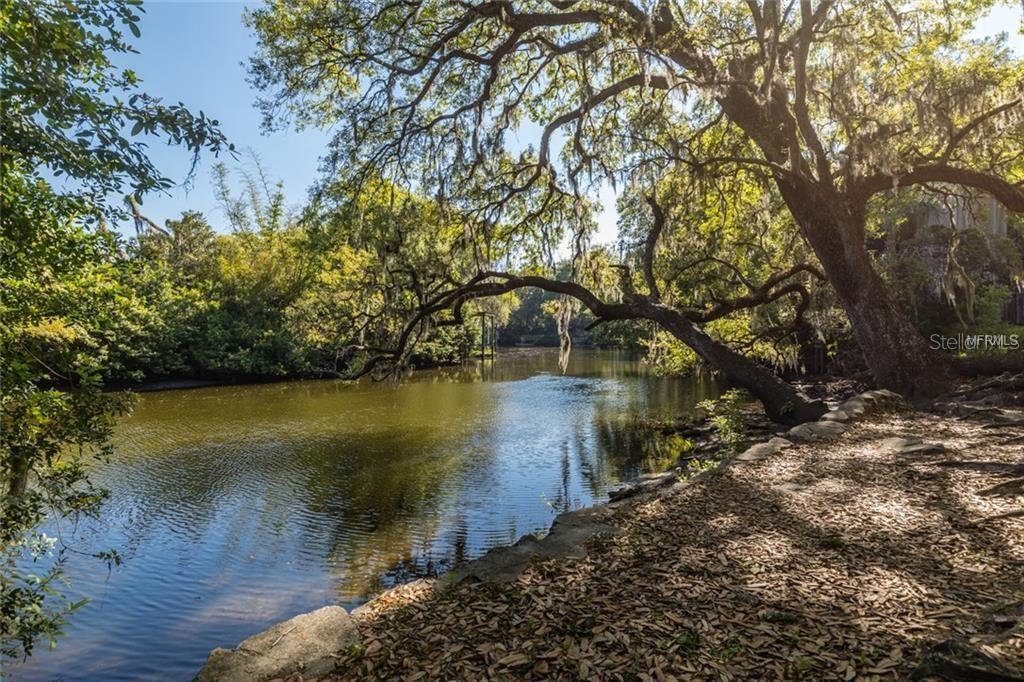 1111 E PATTERSON ST, TAMPA, FL, 33604