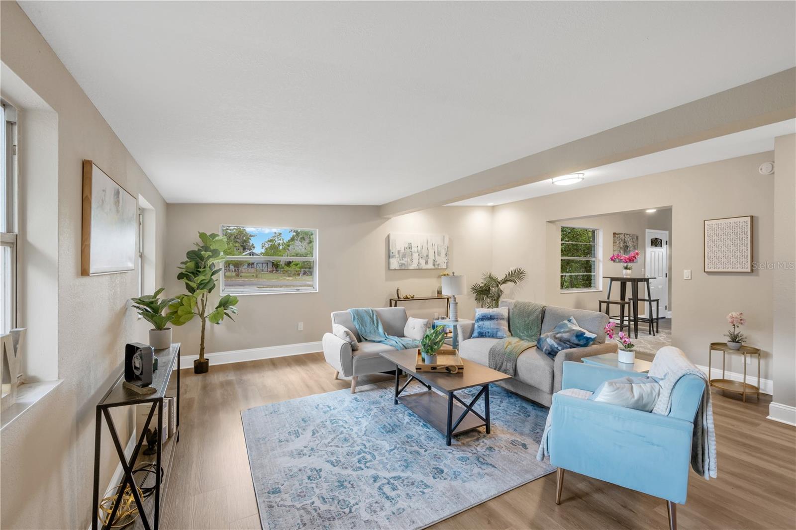 13906 RAULERSON RD, RIVERVIEW, FL, 33569
