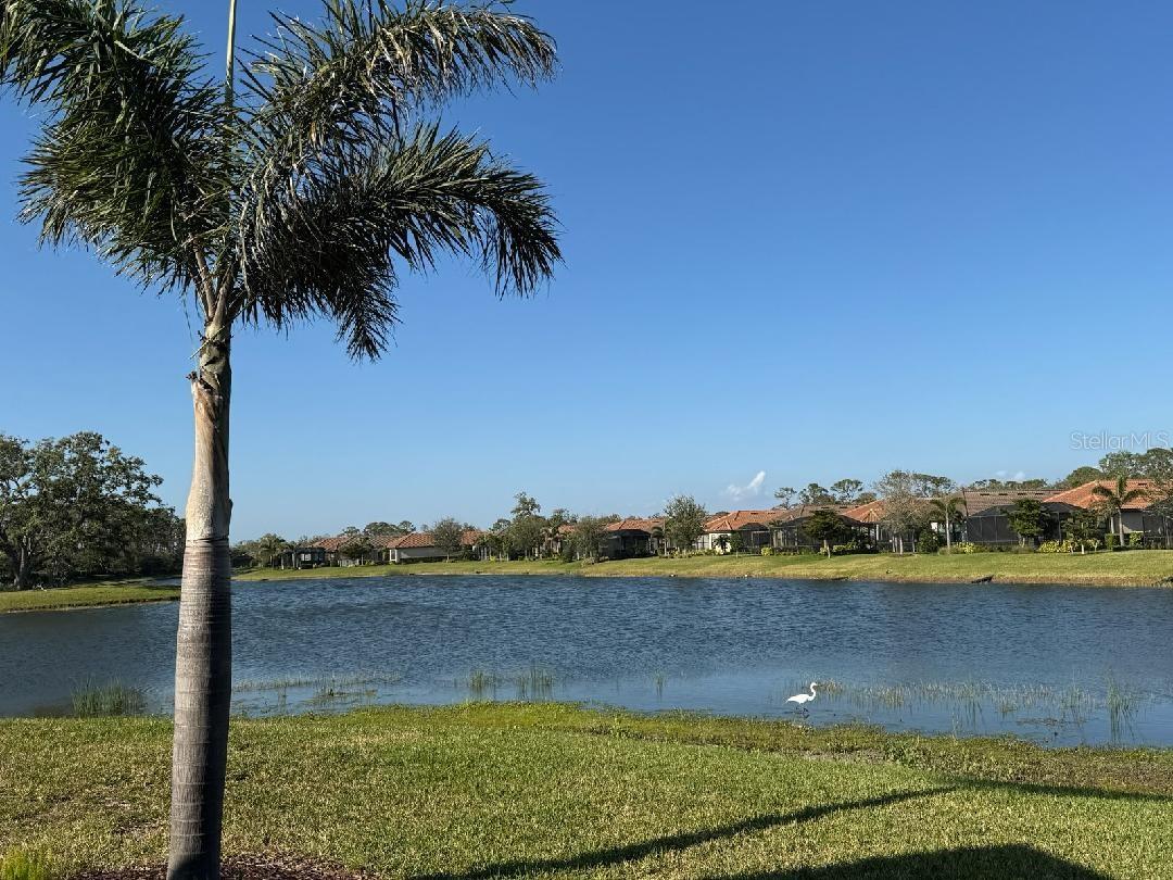5708 PUCCINI ST, NOKOMIS, FL, 34275