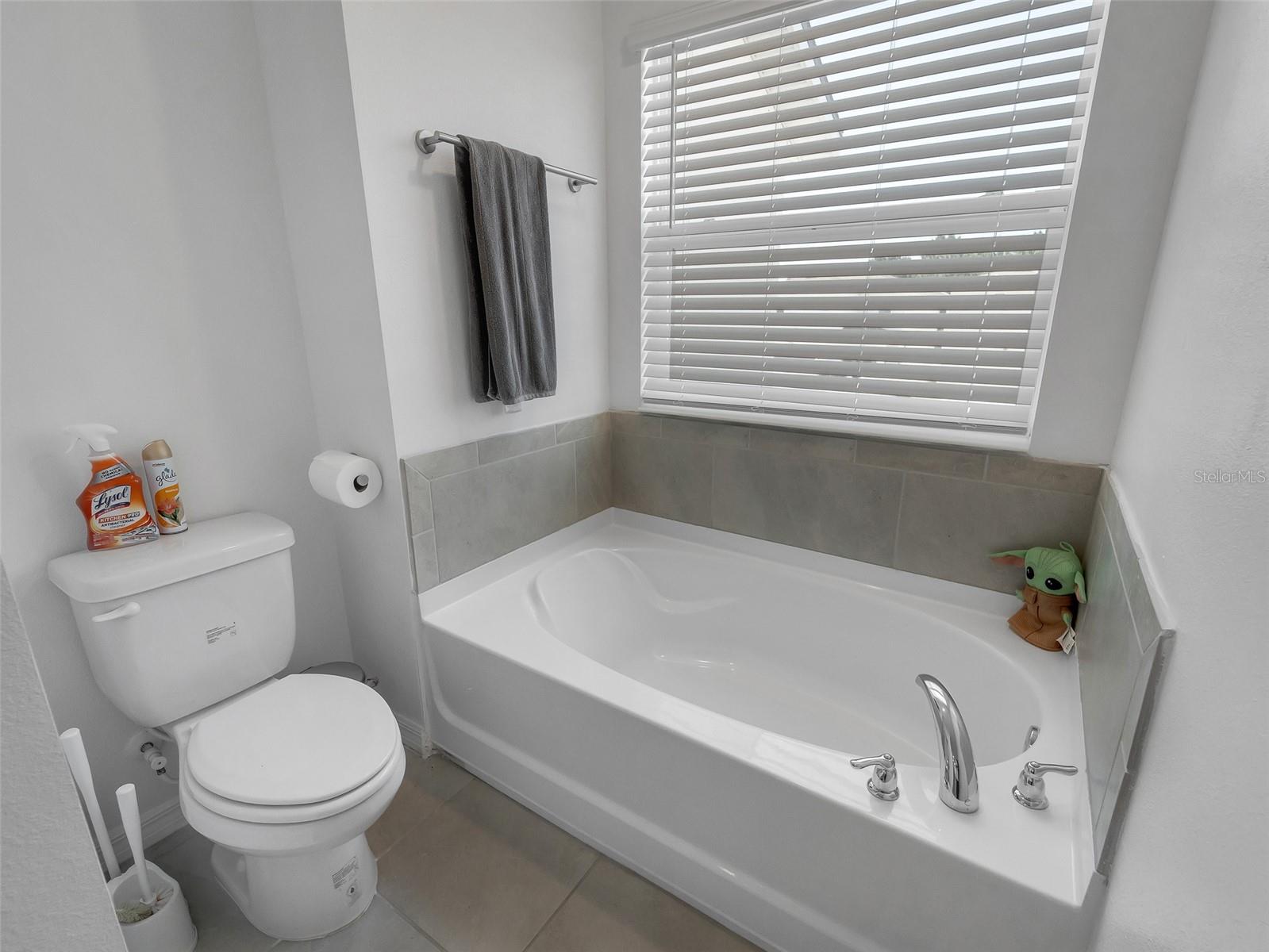 11761 TIDAL ALY, ORLANDO, FL, 32832