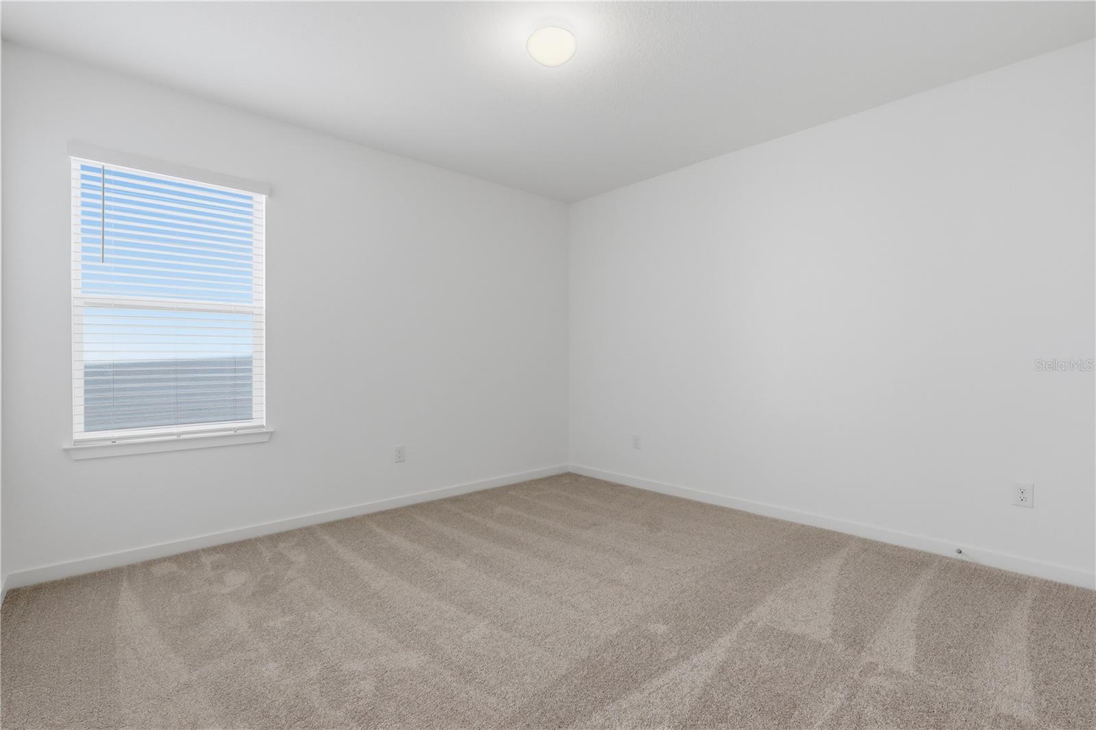33444 BINDING TIES LN, WESLEY CHAPEL, FL, 33545