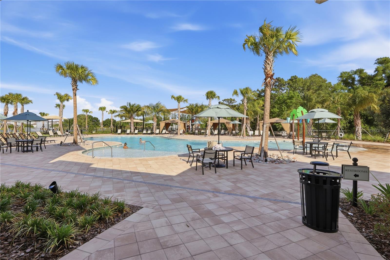 33444 BINDING TIES LN, WESLEY CHAPEL, FL, 33545