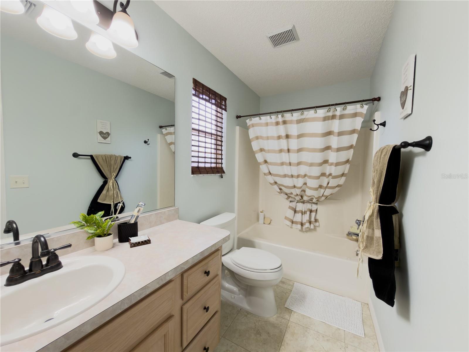 16899 SE 96TH CHAPELWOOD CIR, THE VILLAGES, FL, 32162